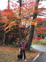 三河高原キャンプ場の紅葉